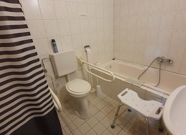 Schapen grazen in de groene omgeving van bie 't kapelke, vakantiehuis in Heijenrath, Zuid Limburg.