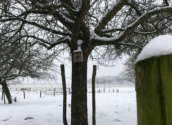 Moderne woonkamer in Vakantiehuisje in Heijenrath, Zuid Limburg met comfortabele zitruimte en flatscreen tv.