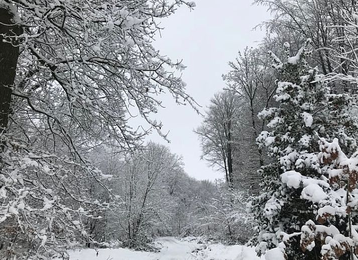 Gezellige binnenruimte van Vakantiehuisje in Heijenrath, Zuid Limburg met houten trap en stijlvolle meubels.