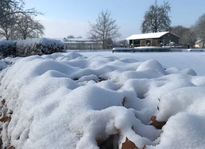 Gezellige binnenruimte van Vakantiehuisje in Heijenrath, Zuid Limburg met houten trap en stijlvolle meubels.