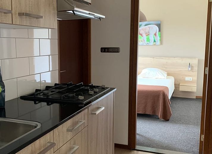 Attraktiver Springbrunnen im Garten des Ferienhauses in Heijenrath, Suedlimburg, Ferienhaus.