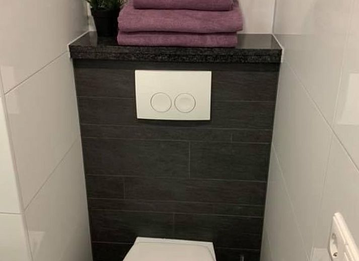 Attraktiver Springbrunnen im Garten des Ferienhauses in Heijenrath, Suedlimburg, Ferienhaus.