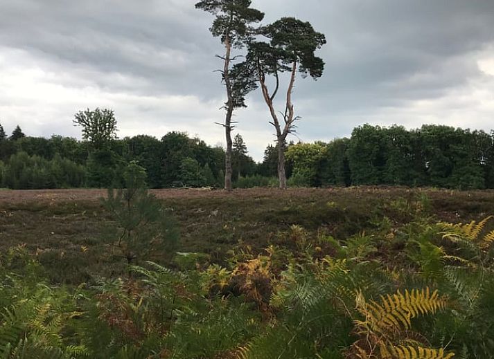 Verblijf 390211 - Vakantiewoning Zuid Limburg - Vakantiehuisje in Heijenrath