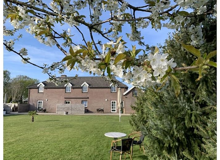Moderne keuken in Huisje in Heijenrath, Zuid Limburg, ideaal vakantiehuis voor kookliefhebbers.