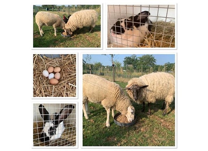 Buitenterras van Huisje in Heijenrath, vakantiehuis in Zuid Limburg met prachtig uitzicht.