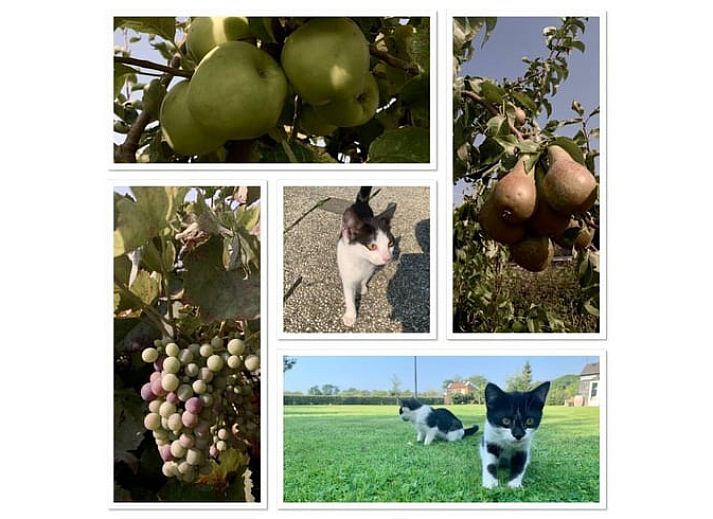 Buitenterras van Huisje in Heijenrath, vakantiehuis in Zuid Limburg met prachtig uitzicht.
