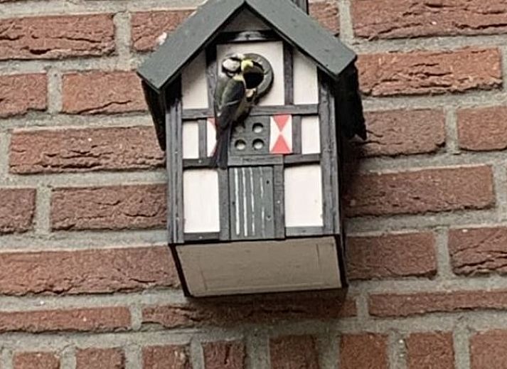 Fietsroute in de omgeving van Huisje in Heijenrath, vakantiehuis in Zuid Limburg, ideaal voor natuurliefhebbers.