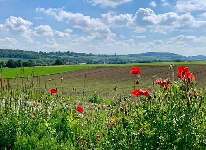 Verblijf 390213 - Vakantiewoning Zuid Limburg - Huisje in Heijenrath