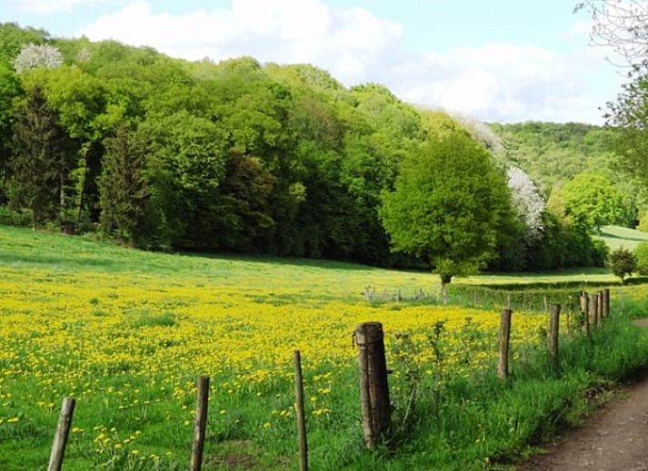 Gezellige binnenruimte van Vakantiehuis in Mechelen, Zuid Limburg met ruime keuken en eethoek voor een ontspannen verblijf.