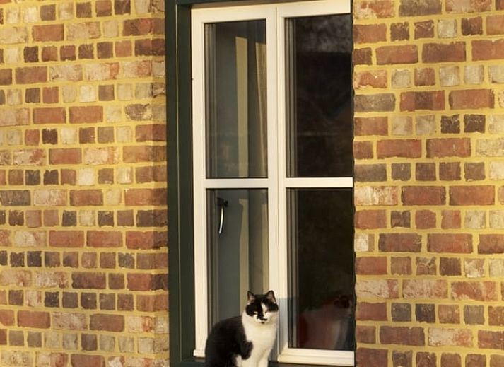 Moderne keuken in Vakantiehuis in Mechelen, Zuid Limburg met uitzicht op de natuur, perfect voor een ontspannen verblijf in Limburg.