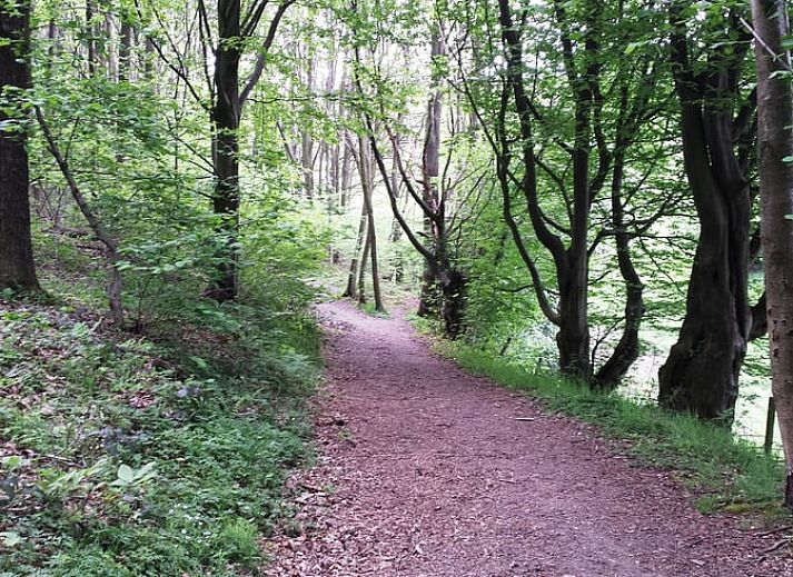 Unterkunft 390515 - Ferienhaus Zuid Limburg - Vakantiehuis in Mechelen