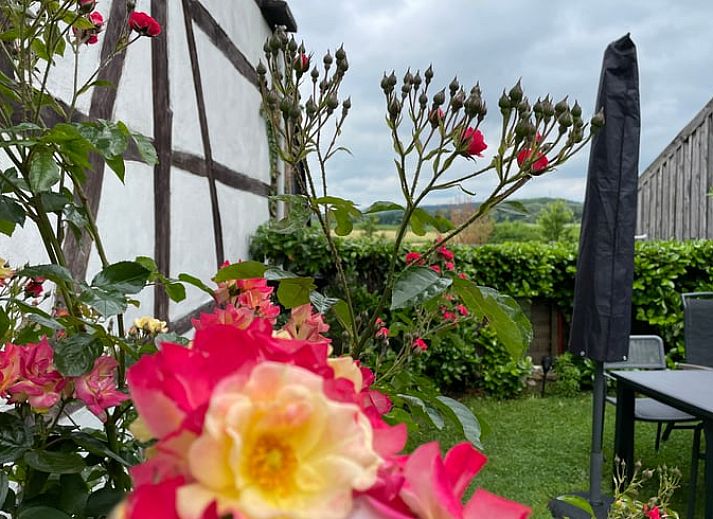 Unterkunft 390521 - Ferienhaus Zuid Limburg - Vakantiehuisje in Mechelen