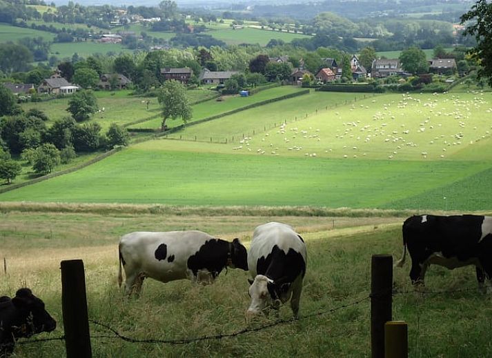 Unterkunft 390521 - Ferienhaus Zuid Limburg - Vakantiehuisje in Mechelen