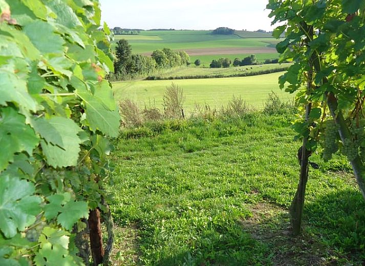 Unterkunft 390521 - Ferienhaus Zuid Limburg - Vakantiehuisje in Mechelen