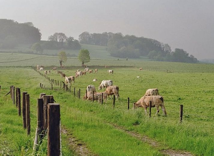 Unterkunft 390521 - Ferienhaus Zuid Limburg - Vakantiehuisje in Mechelen