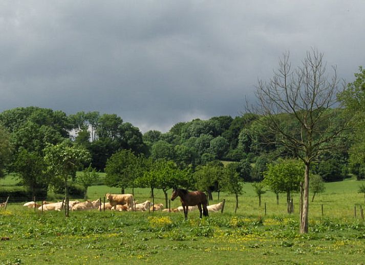 Unterkunft 390521 - Ferienhaus Zuid Limburg - Vakantiehuisje in Mechelen