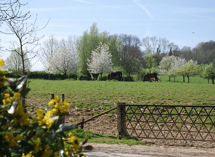 Geniet van de rust op het terras van Vakantiehuis in Mechelen, Zuid Limburg, omgeven door groene tuinen en een uitnodigende sfeer.