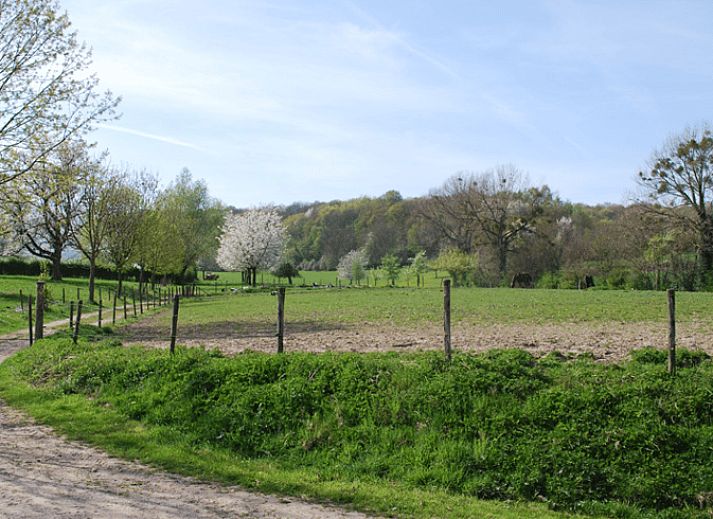 Geniet van de rust op het terras van Vakantiehuis in Mechelen, Zuid Limburg, omgeven door groene tuinen en een uitnodigende sfeer.