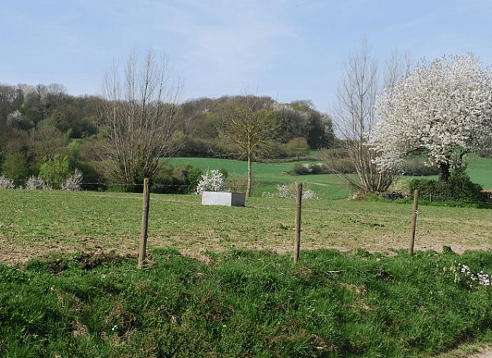 Geniet van de rust op het terras van Vakantiehuis in Mechelen, Zuid Limburg, omgeven door groene tuinen en een uitnodigende sfeer.