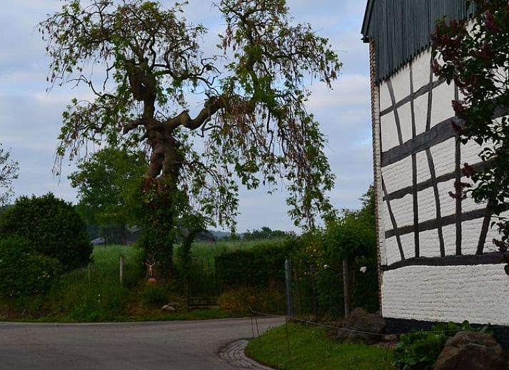 Guest house 390544 - Holiday property Zuid Limburg - Vakantiehuisje in Mechelen