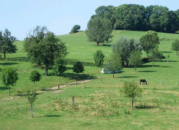 Guest house 390557 - Holiday property Zuid Limburg - L167
