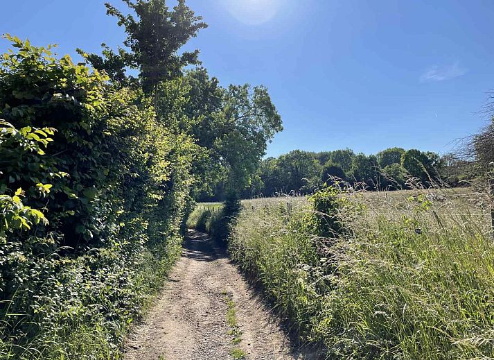 Cozy terrace at vacation home L243 in Mechelen, South Limburg overlooking green garden.