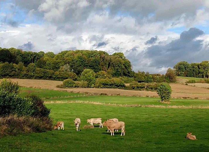 Beautiful views of the rural surroundings of vacation home L243 in Mechelen, South Limburg.