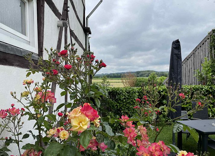 L302 Ferienhaus in Mechelen, Suedlimburg mit gruenem Garten und Fahrradabstellraum.