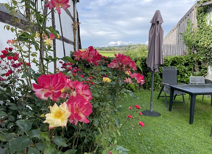 Guest house 390593 • Special overnight stays Zuid Limburg • Frensjerhofke