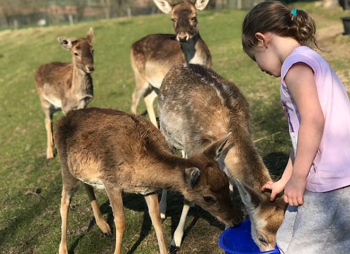 Relax on the terrace of Cottage in Schin op Geul with stunning views of South Limburg.
