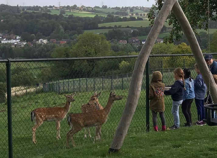 Access road to Cottage in Schin op Geul, a cozy vacation home in the heart of South Limburg.