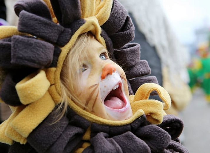 Access road to Cottage in Schin op Geul, a cozy vacation home in the heart of South Limburg.