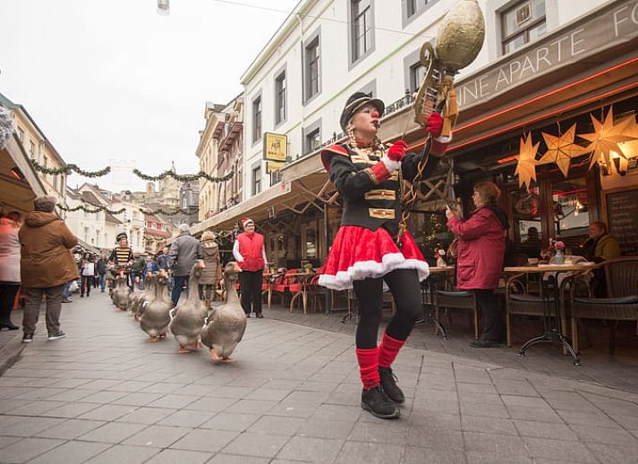Access road to Cottage in Schin op Geul, a cozy vacation home in the heart of South Limburg.