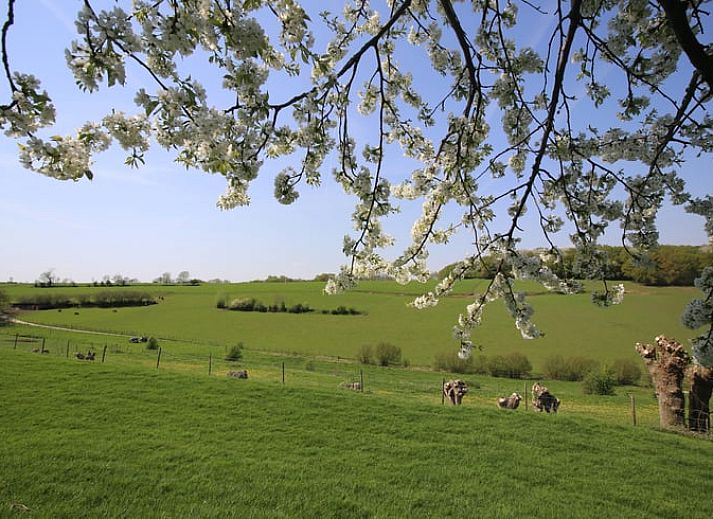 Charmant Vakantiehuisje in Schin op Geul met rustiek terras in Zuid Limburg, Limburg.
