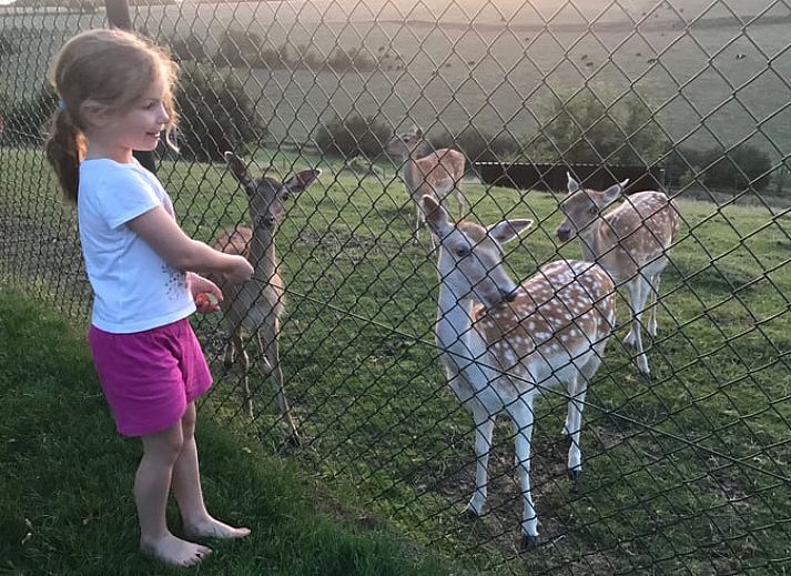 Zonnig terras bij Vakantiehuisje in Schin op Geul, Zuid Limburg, ideaal voor ontspanning.