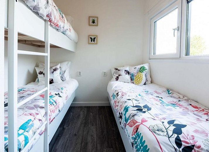 Module 5 personen in Schin op Geul, Zuid Limburg, vakantiehuis met moderne veranda en groene omgeving.