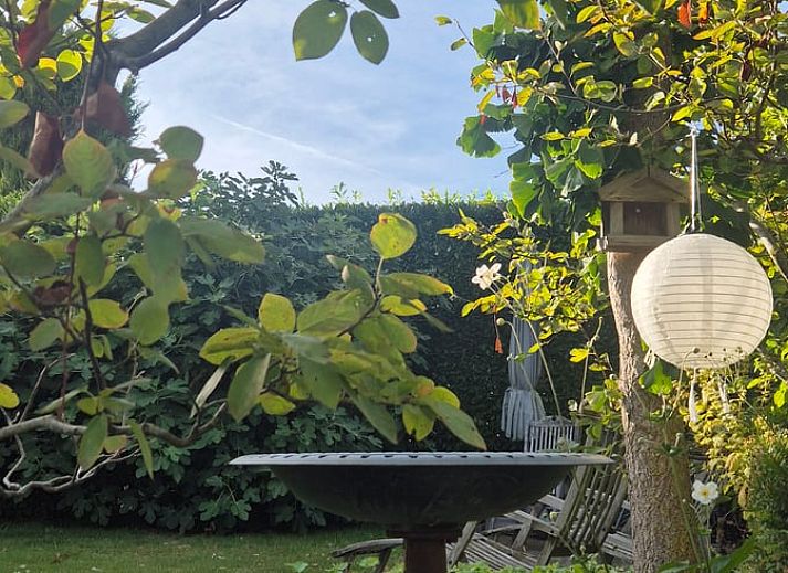 Verblijf 390808 - Vakantiewoning Zuid Limburg - Vakantiehuisje in Valkenburg