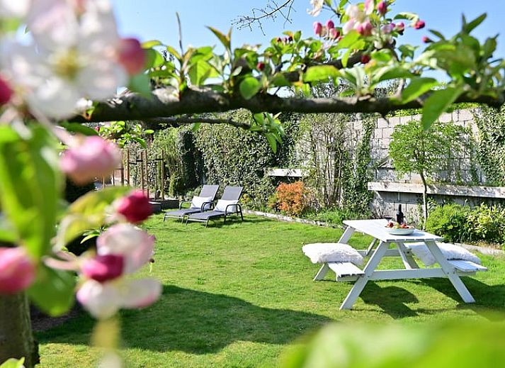 Unterkunft 390811 - Ferienhaus Zuid Limburg - Vakantiehuis in Valkenburg