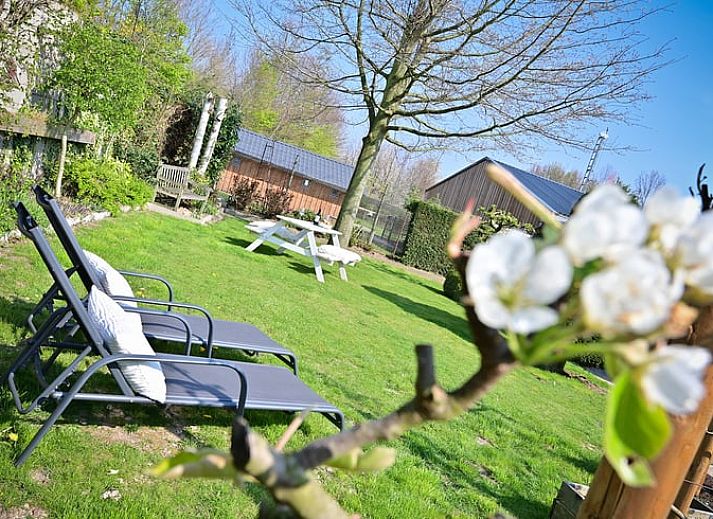Unterkunft 390811 - Ferienhaus Zuid Limburg - Vakantiehuis in Valkenburg
