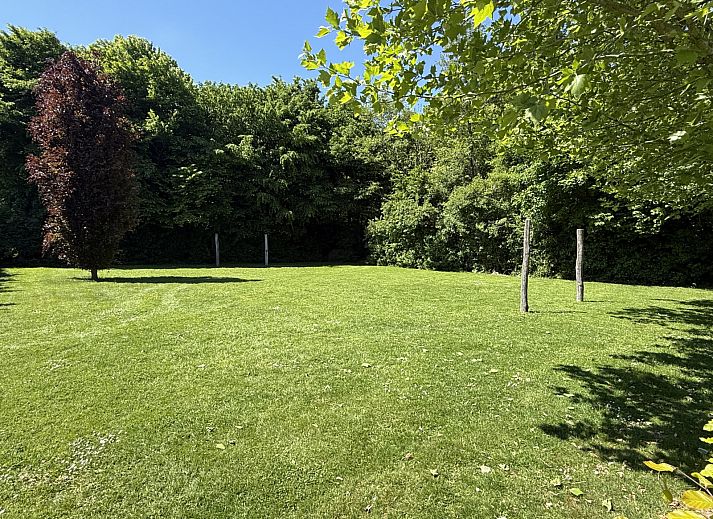 Zwembad bij vakantiehuis L009 in Valkenburg, Zuid Limburg, perfect voor ontspanning en recreatie.