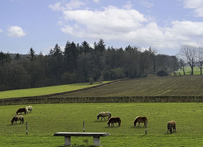 Unterkunft 390910 - Ferienhaus Zuid Limburg - Vakantiehuis Bungalowpark Landsrade