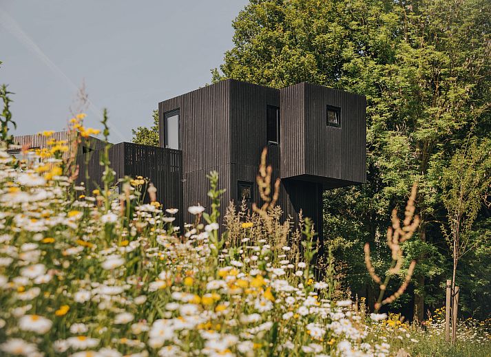 Verblijf 3909115 - Vakantiewoning Zuid Limburg - Geschakelde woning in Gulpen