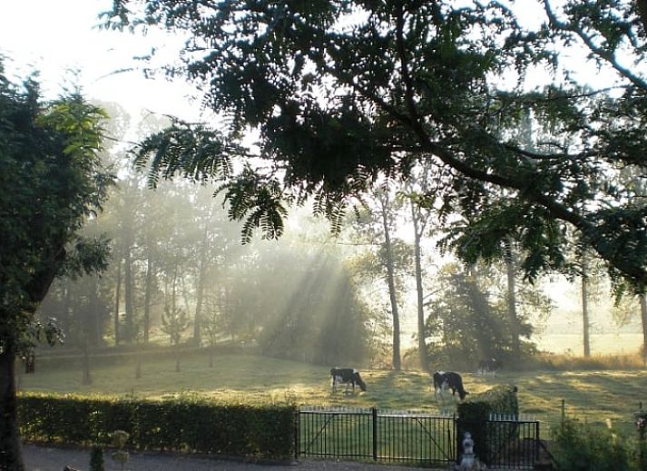 Unterkunft 3909117 - Ferienhaus Zuid Limburg - Vakantiehuis in Gulpen