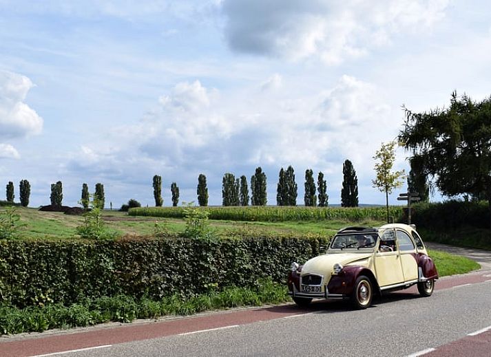 Unterkunft 3909117 - Ferienhaus Zuid Limburg - Vakantiehuis in Gulpen