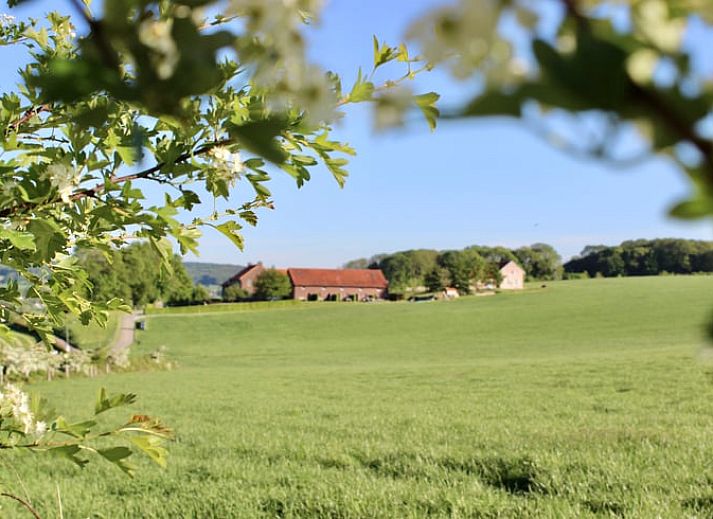 Rustiek uitzicht op Vakantiehuisje in Gulpen, gelegen in het groene landschap van Zuid Limburg, perfect voor natuurliefhebbers.