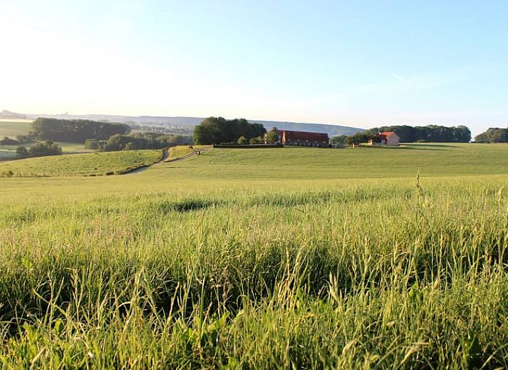 Rustiek uitzicht op Vakantiehuisje in Gulpen, gelegen in het groene landschap van Zuid Limburg, perfect voor natuurliefhebbers.
