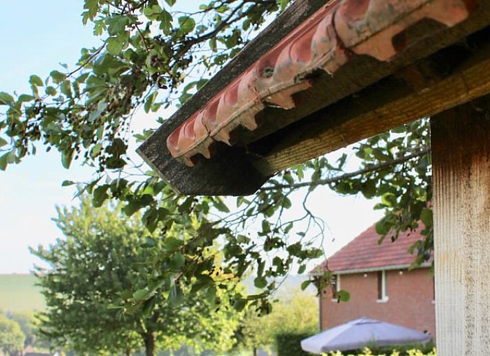 Rustiek uitzicht op Vakantiehuisje in Gulpen, gelegen in het groene landschap van Zuid Limburg, perfect voor natuurliefhebbers.