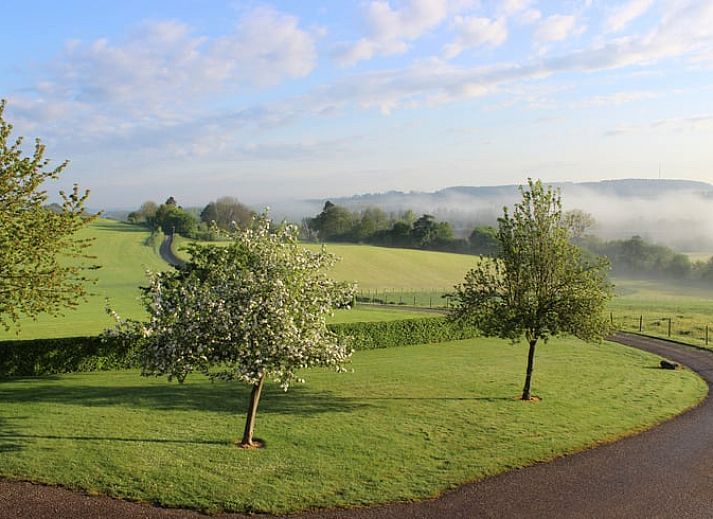 Gezellige keuken van Vakantiehuisje in Gulpen, Zuid Limburg met bloemen voor een huiselijke sfeer.