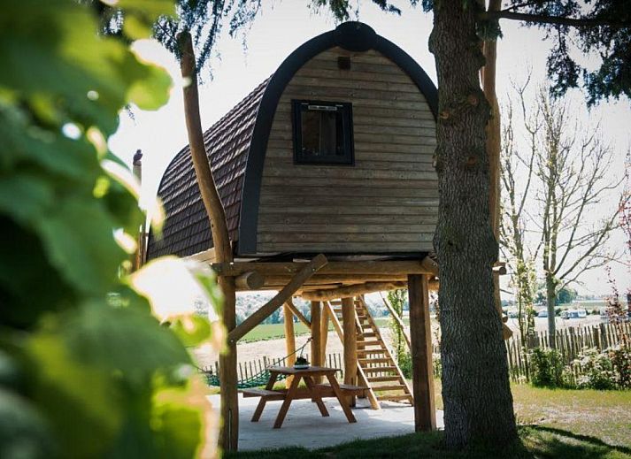 Guest house 3909124 • Holiday property Zuid Limburg • Treelodge