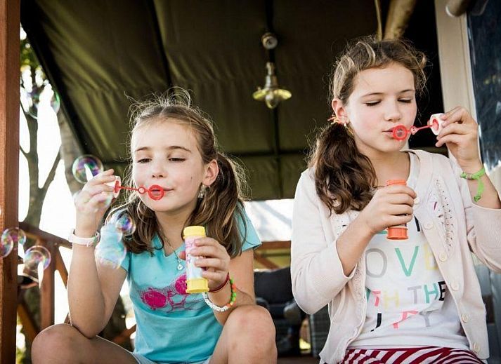 Guest house 3909127 - Tent house Zuid Limburg - Panorama Lodge